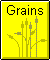 Grains