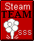 Steam Team